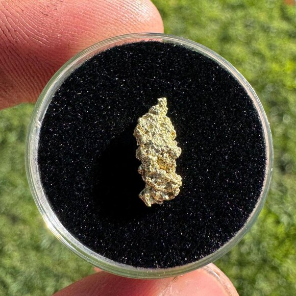 California Native Gold Crystal - 0.54 grams - Picture 2 of 5